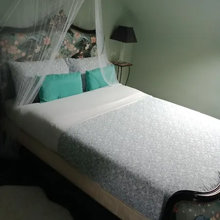 Stuard Maison Homestay